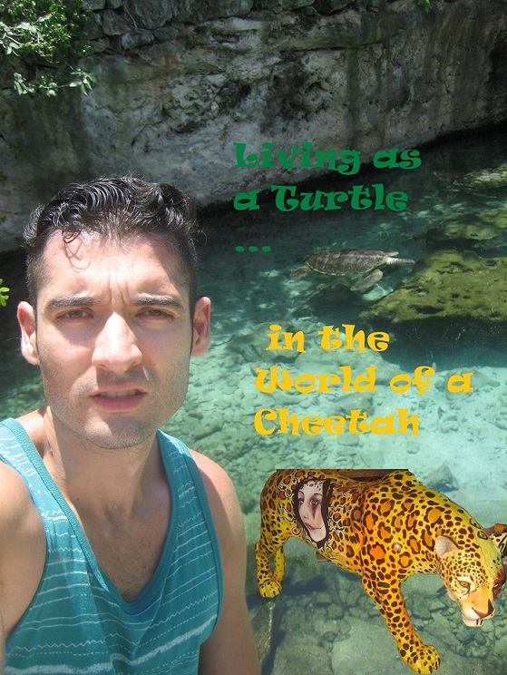 cheetah-turtle-xcaret-playadelcarmen